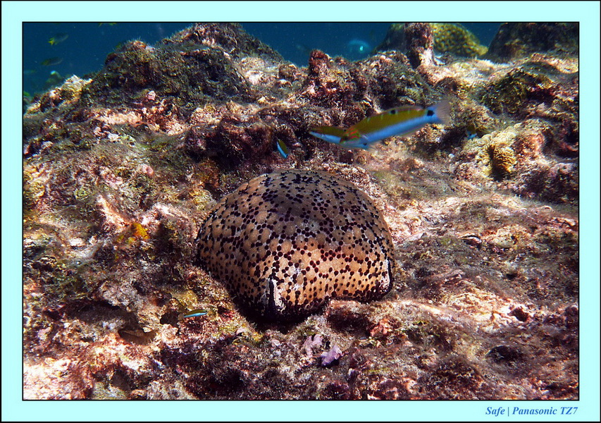 2012 - 03 - Koh Ha 39